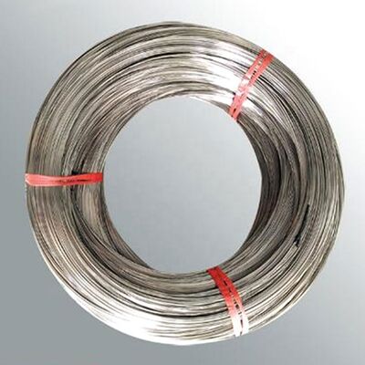 TP SUS316L S31603 1.4404 สายด้ายเหล็กไร้ขัด คุณภาพสูง ประเภทสินค้า